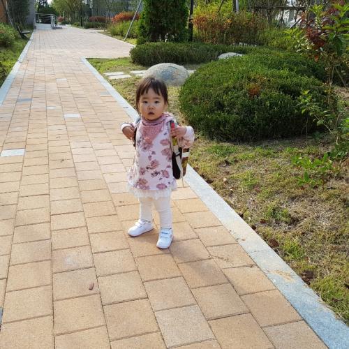 회원이미지