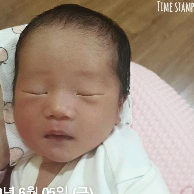 회원이미지
