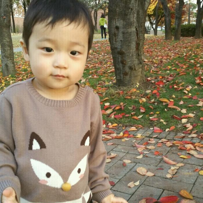 회원이미지